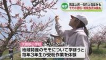 「夏日」目前！各地で気温上昇し6月上旬並みも　小学生がモモの花に受粉体験やサケなどの稚魚放流《新潟》