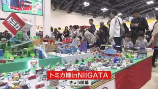 ミニカーを多数展示　「トミカ博」がはじまる　家族連れでにぎわい《新潟》