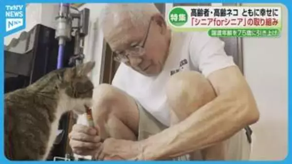 【特集】高齢者と高齢ネコがともに幸せに　新潟市が新たな取り組み「シニアforシニア」とは