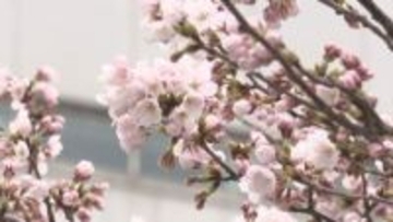 新年度スタート　県内企業で入社式　新社会人が決意を新たに《新潟》