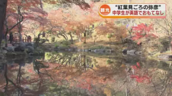 【観光】紅葉が見ごろの弥彦「もみじ谷」　中学生が英語で魅力を伝える《新潟》