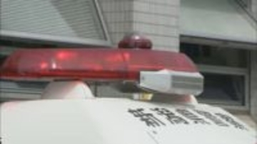 「車を蹴られた」　知人の軽自動車ドアなどを蹴って損壊させた疑い　トラック運転手の25歳男を逮捕　損害額は約30万円《新潟》