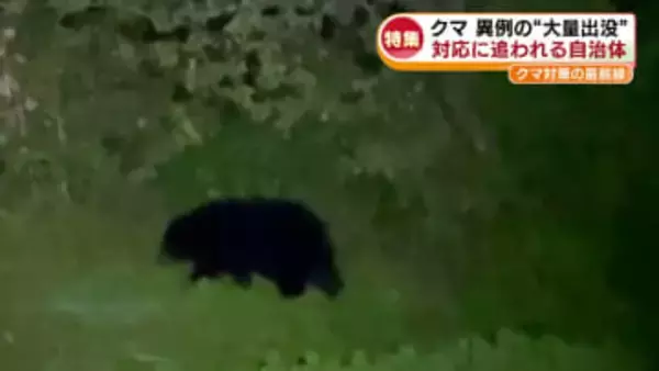 【特集】クマ“大量出没”　対策の最前線を取材　対応に追われる日々　緊急銃猟に課題も《新潟》