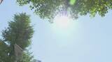 「【1か月予報】向こう1か月も気温高め予想　5月30日からかなり高くなる見込み《新潟》」の画像1