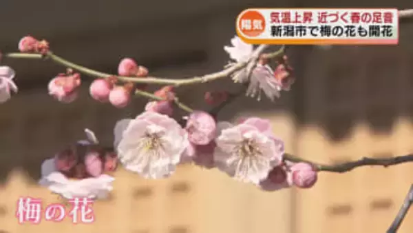 気温上昇　新潟市中央区で16.4℃県内は4月並みの陽気　近づく春の足音《新潟》