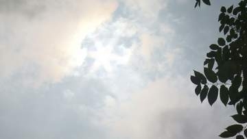 【3か月予報】8月～10月も暖かい空気に覆われやすい見込み《新潟》