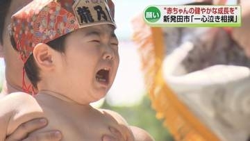 泣いて泣いて笑って……「泣き相撲」　赤ちゃんの健やかな成長を願い 《新潟・新発田》