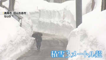 衆院選投開票日は大雪か　“豪雪地・山古志” 1票に託す思い 《新潟》