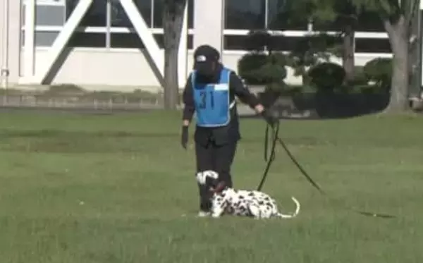 ダルメシアンが新潟県警で初の合格　嘱託警察犬の審査会で8頭を嘱託へ　頭数減少で“犬種しばり”撤廃 《新潟》