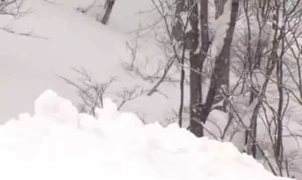 なだれ発生し一時、道路をふさぐ　外国人グループによるバックカントリーでのスノボ滑走が誘発か《新潟》