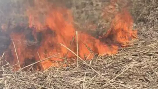 県内19市町村に「林野火災注意報」発令中　火の取り扱いに注意を（14日午後4時現在）《新潟》