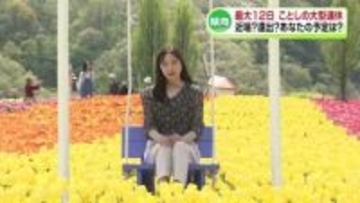 【特集】ことしのゴールデンウィーク「あなたの予定は？」最大12連休も…気になる「物価高」《新潟》