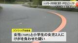 「レンタカーが対向車に衝突３人けが 小学生が顔を骨折　アメリカ国籍の男逮捕【熊本】」の画像1