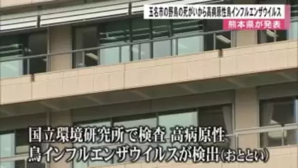 今シーズン県内初　野鳥の死骸から高病原性鳥インフルエンザウイルス【熊本】