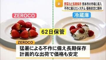 野菜や果物を長期保存できる新しいシステムとは【熊本】