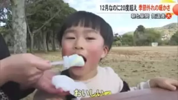 １２月なのに・・・季節外れの暖かさ　熊本県内４地点で最高気温２０度超え