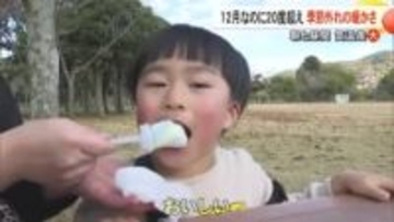 １２月なのに・・・季節外れの暖かさ　熊本県内４地点で最高気温２０度超え