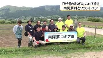 南阿蘇村とソラシドエアが道の駅にコキア植栽【熊本】