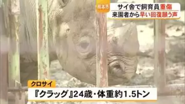 サイ舎で飼育員が重傷　熊本市動植物園が会見「安全確認が不十分だったか」