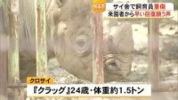 サイ舎で飼育員が重傷　熊本市動植物園が会見「安全確認が不十分だったか」