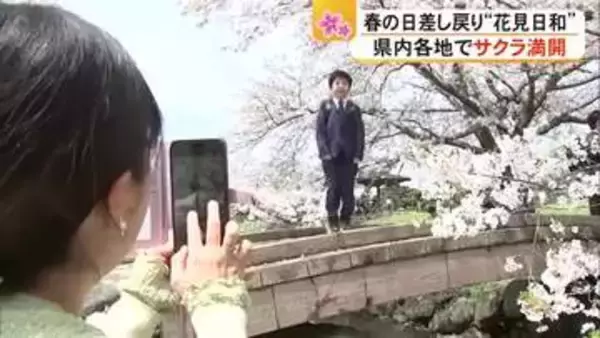 「熊本県内各地でサクラ満開【熊本】」の画像