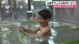 「”こどもの日”に合わせてしょうぶ湯のサービス【熊本】」の画像1