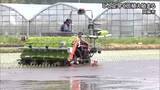「阿蘇地域でひと足早く田植え【熊本】」の画像1