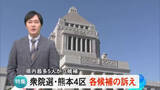 「衆院選・熊本４区 県内最多５人が立候補 序盤の動きと訴え」の画像1