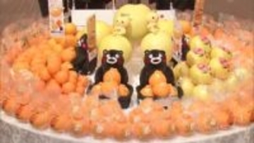 デコポンや甘夏など熊本県産中晩柑の販売強化などを目指して出荷協議会