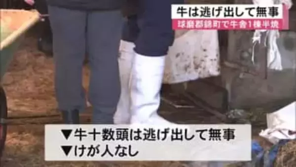 球磨郡錦町で牛舎を焼く火事 牛は逃げ出して無事【熊本】