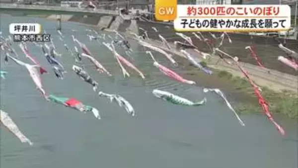 こどもの日　坪井川に３００匹の色とりどりの鯉のぼり【熊本】