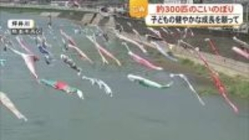 こどもの日　坪井川に３００匹の色とりどりの鯉のぼり【熊本】