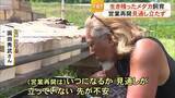 「生き残ったメダカを飼育　被災したメダカ専門店は再開の見通し立たず【令和8年熊本地震】」の画像1