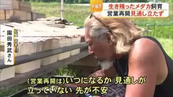 生き残ったメダカを飼育　被災したメダカ専門店は再開の見通し立たず【令和8年熊本地震】