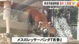 「３連休スケッチ　熊本市動植物園のあの「人気者」は？」の画像1