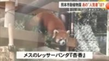 ３連休スケッチ　熊本市動植物園のあの「人気者」は？