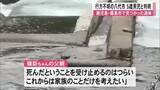 「鹿児島・霧島市で見つかった遺体 行方不明の八代市の５歳男児と判明【熊本】」の画像1