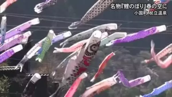 「杖立温泉３０００匹の鯉が空へ【熊本】」の画像