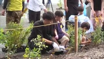 イオンモール熊本で『ふるさとの森づくり』　子どもたちが約３００本の苗木を植える【熊本発】
