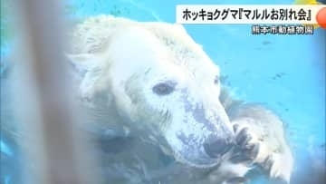 「マルル、またね！」熊本市動植物園の人気者・ホッキョクグマのマルルが北海道へお引越し　無邪気なしぐさに癒され多くのファン【熊本発】