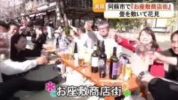 畳の上でお酒を飲みながら満開のサクラ楽しむ　阿蘇市で『お座敷商店街』【熊本】