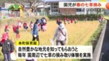 「セリ・ナズナ・ゴギョウ・ハコベラ・・・」園児たちが春の七草摘み【熊本】