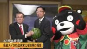 ＪＡ熊本経済連が今年の県産スイカの出来栄えを知事に報告【熊本】