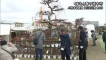 ＪＲ熊本駅東側の白川河川敷で『くまもと春の植木市』【熊本】