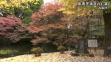 阿蘇市の隼鷹天満宮で紅葉が見頃【熊本】