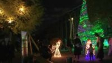 九州ルーテル学院でクリスマスイルミネーション　２６日まで