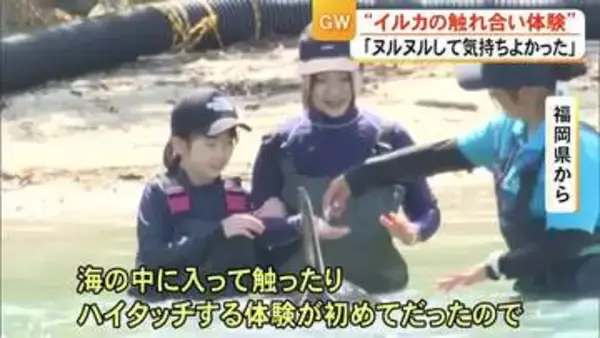 こどもの日　「イルカの触れ合い体験」海中水族館にぎわう【熊本】