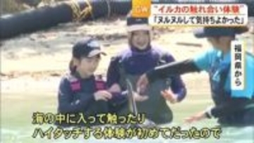 こどもの日　「イルカの触れ合い体験」海中水族館にぎわう【熊本】