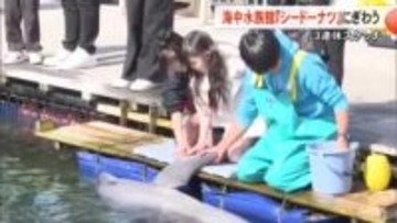 ３連休スケッチ　イルカとの触れ合いなど体験　海中水族館シードーナツにぎわう【熊本】