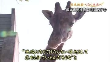 熊本地震 つなぐ未来へ／熊本市動植物園　復興の歩み